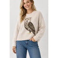 "Nice Hooter" Owl Sweater, front view with owl graphic