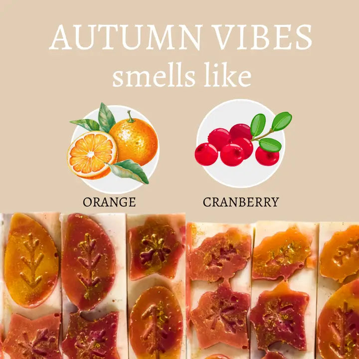 Autumn Vibes Bar Soap scent profile — orange and cranberry