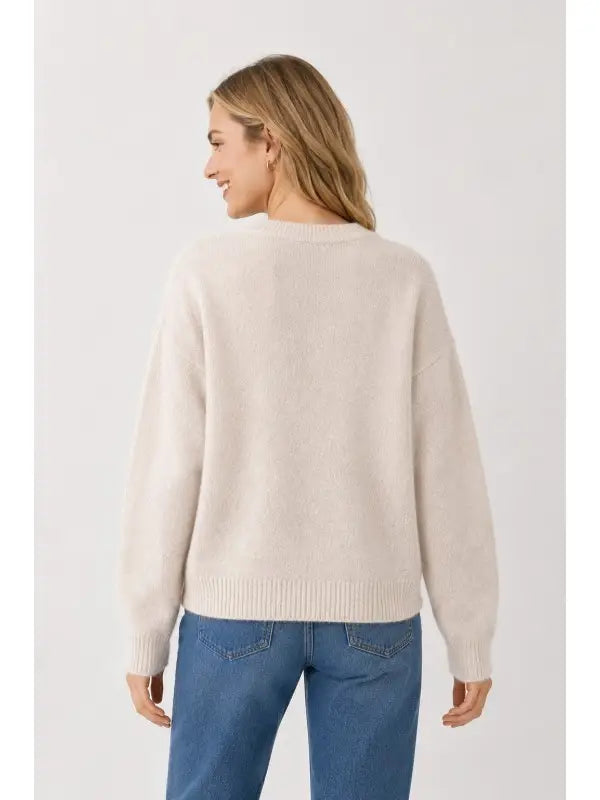 "Nice Hooter" Owl Sweater, back view