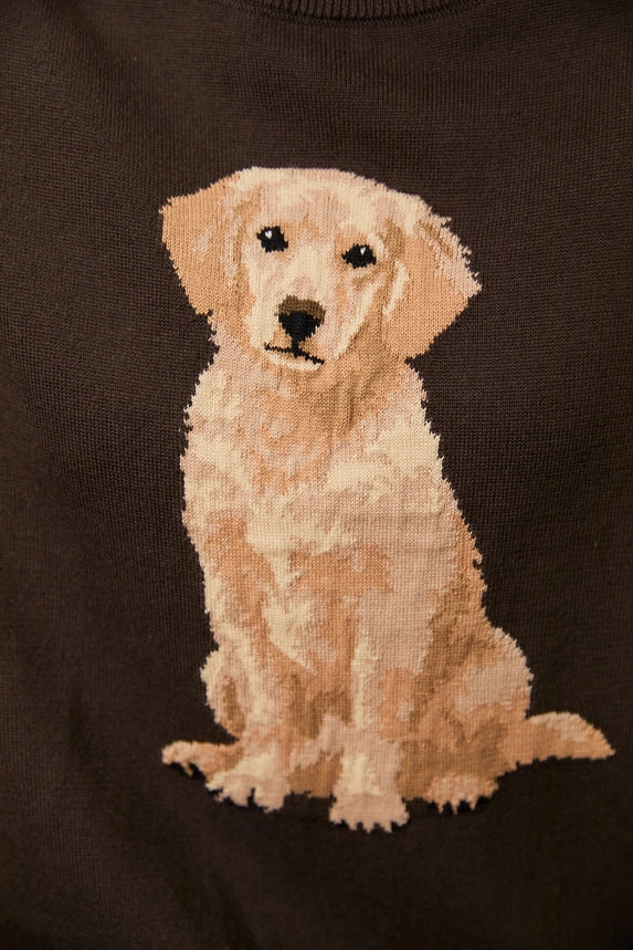 Golden Boy Sweater